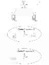 Fig. 01 - Method and apparatus for measurement reporting in carrier aggregation wireless communication systems