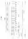 Fig. 33 - Digital broadcast system for transmitting/receiving digital broadcast data, and data processing method for use in the same