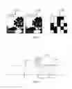 Fig. 02 - Best quality given a maximum bit rate