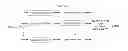 Fig. 01 - Using multiple transform/subband representations for video encoding
