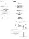 Fig. 05 - Indicating bit stream subsets