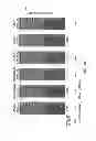 Fig. 08 - System and method for X-ray image acquisition and processing