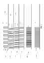 Fig. 08 - Stacked zone plates for pitch frequency multiplication