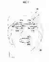 Fig. 07 - EYELID DETECTION DEVICE, EYELID DETECTION METHOD, AND RECORDING MEDIUM