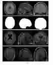 Fig. 02 - Quality control and assurance of images