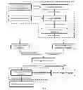 Fig. 07 - Quality control and assurance of images