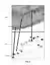 Fig. 06 - Microscopy visualization