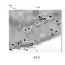 Fig. 07 - Microscopy visualization