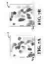 Fig. 07 - Systems and methods for processing low contrast images
