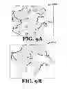 Fig. 09 - Systems and methods for processing low contrast images