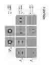 Fig. 06 - Optical compensation using a space division multiplexing electro-optic receiver