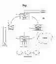 Fig. 06 - Add and drop switch/aggregator for optical communications networks