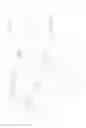 Fig. 09 - Binder