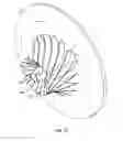 Fig. 12 - Centrifugal compressor assembly and method