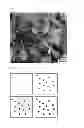 Fig. 07 - Oxygen atom-dispersed metal matrix composite and method of manufacturing the same
