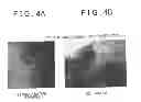 Fig. 05 - Exhaust gas catalyst, method for the production of carrier, method for the production of exhaust gas catalyst, and apparatus for treating exhaust gas