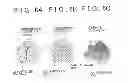 Fig. 07 - Exhaust gas catalyst, method for the production of carrier, method for the production of exhaust gas catalyst, and apparatus for treating exhaust gas