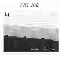 Fig. 14 - Hydrogen ion transport membrane, membrane for generating hydrogen, and method for manufacturing same