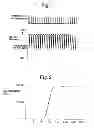 Fig. 04 - Exhaust purification system of internal combustion engine