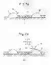 Fig. 06 - Exhaust purification system of internal combustion engine