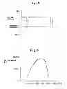 Fig. 07 - Exhaust purification system of internal combustion engine