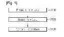 Fig. 02 - Method of fabricating silicon carbide powder