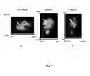 Fig. 08 - Molecular Probe for Imaging of Pancreatic Islets and Use of the Same