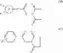 Fig. 09 - Molecular Probe for Imaging of Pancreatic Islets and Use of the Same