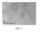 Fig. 02 - Lipidomimetic compounds and uses thereof