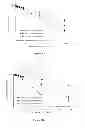 Fig. 06 - LIPOSOMES USEFUL FOR DRUG DELIVERY TO THE BRAIN