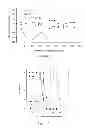 Fig. 11 - LIPOSOMES USEFUL FOR DRUG DELIVERY TO THE BRAIN