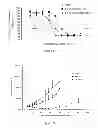Fig. 18 - LIPOSOMES USEFUL FOR DRUG DELIVERY TO THE BRAIN