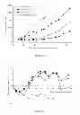 Fig. 22 - LIPOSOMES USEFUL FOR DRUG DELIVERY TO THE BRAIN