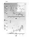 Fig. 08 - PH-sensitive imaging agents