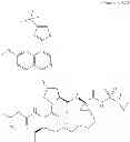 Fig. 111 - Hepatitis C virus inhibitors