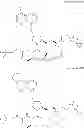 Fig. 129 - Hepatitis C virus inhibitors