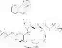 Fig. 138 - Hepatitis C virus inhibitors
