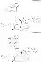Fig. 141 - Hepatitis C virus inhibitors