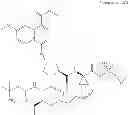Fig. 17 - Hepatitis C virus inhibitors