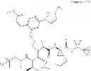 Fig. 23 - Hepatitis C virus inhibitors