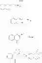 Fig. 49 - Hepatitis C virus inhibitors
