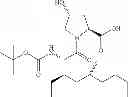 Fig. 63 - Hepatitis C virus inhibitors