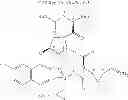 Fig. 09 - HCV Combination Therapy