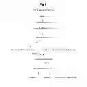 Fig. 02 - TRICHODERMA STRAINS, METHOD FOR PREPARATION THEREOF AND THEIR USE AS BIOCIDES