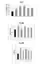 Fig. 03 - TRICHODERMA STRAINS, METHOD FOR PREPARATION THEREOF AND THEIR USE AS BIOCIDES