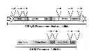 Fig. 01 - Reversible gene expression