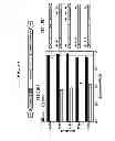 Fig. 06 - Reversible gene expression