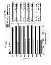 Fig. 09 - Reversible gene expression