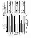 Fig. 10 - Reversible gene expression