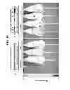 Fig. 16 - Reversible gene expression